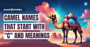 Top 300+ Camel Names - Cool & Funny with Meanings