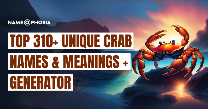 Top 310+ Unique Crab Names & Meanings + Generator