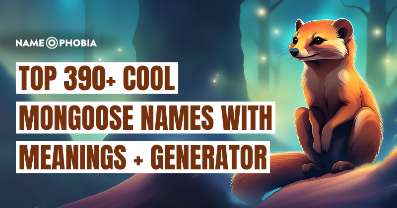 Top 390+ Cool Mongoose Names With Meanings + Generator