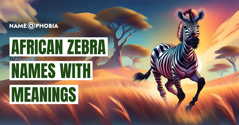 African Zebra Names with Meanings