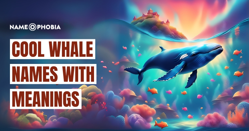 Cool Whale Names with Meanings