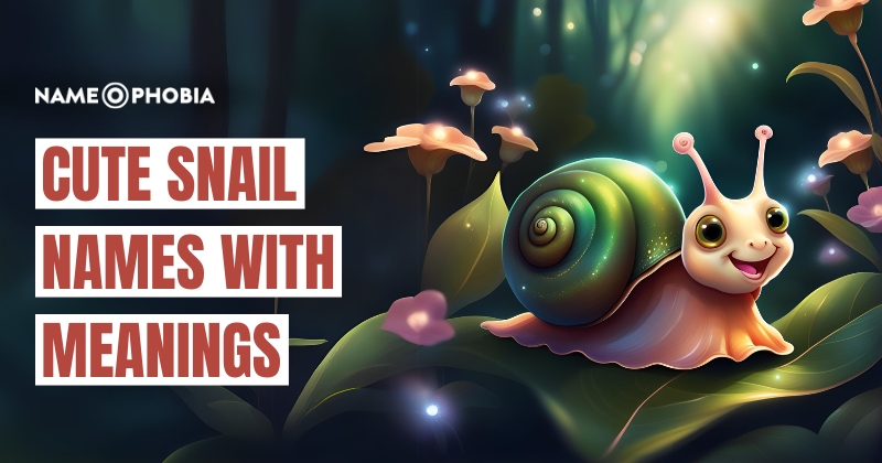 Cute Snail Names with Meanings