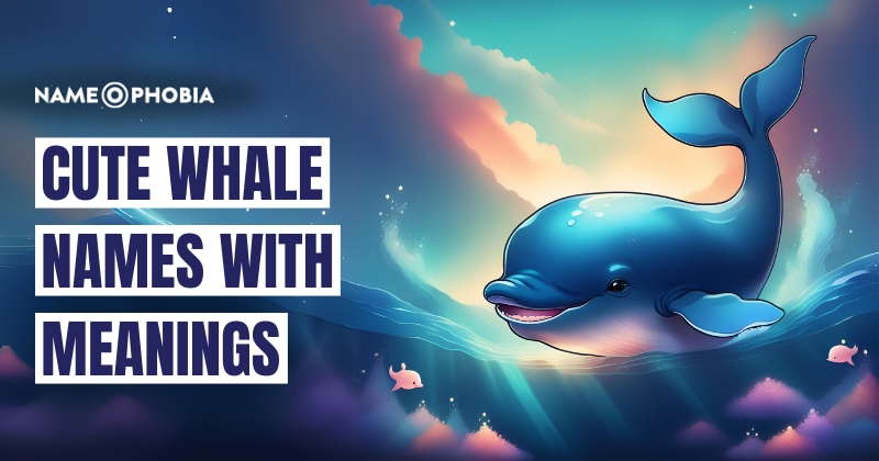 Cute Whale Names with Meanings