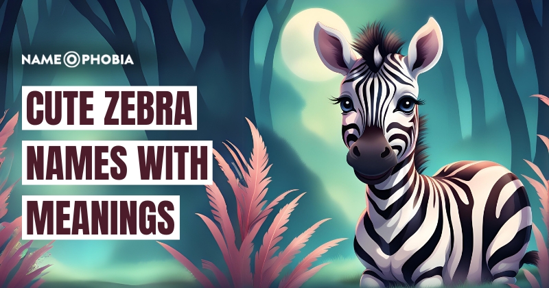 Cute Zebra Names with Meanings