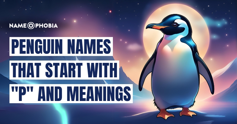 Penguin Names that start with "P" and Meanings