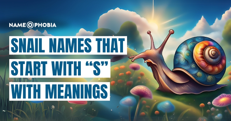 Snail Names that start with “S” with Meanings
