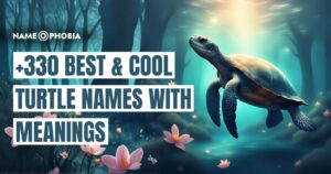 +330 Best & Cool Turtle Names With Meanings