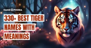 330+ Best Tiger Names With Meanings