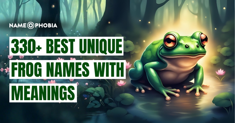 330+ Best Unique Frog Names With Meanings